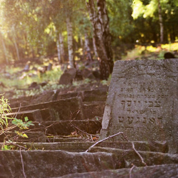 Cmentarz żydowski na Bródnie