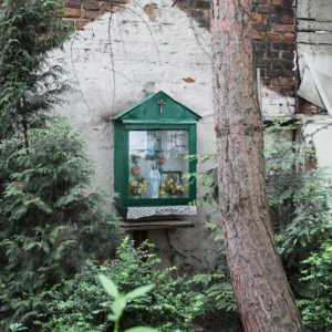 Ząbkowska 16 2015r.